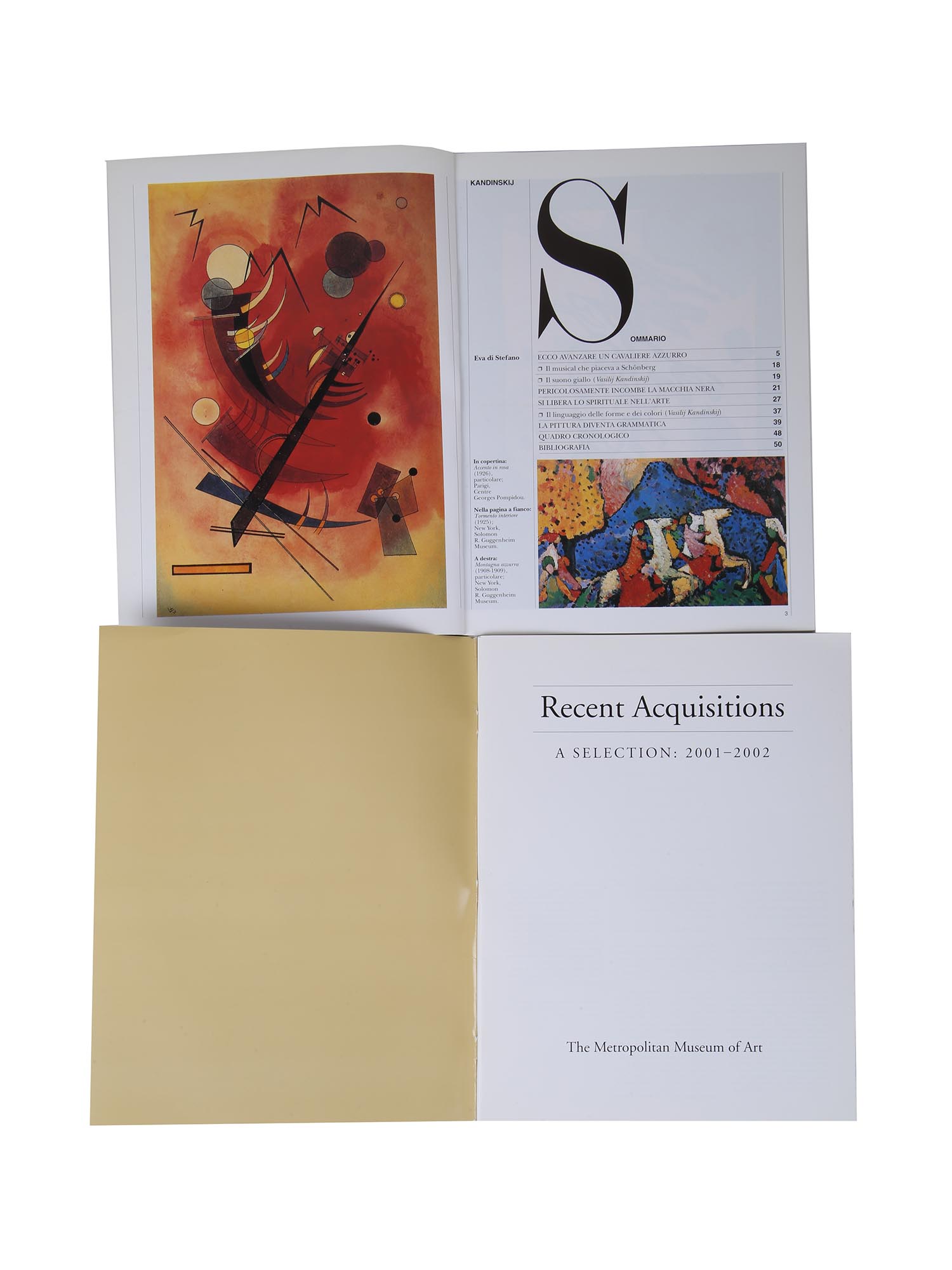 THE LOUVRE, EL PRADO AND OTHER MUSEUMS ART BOOKS PIC-5